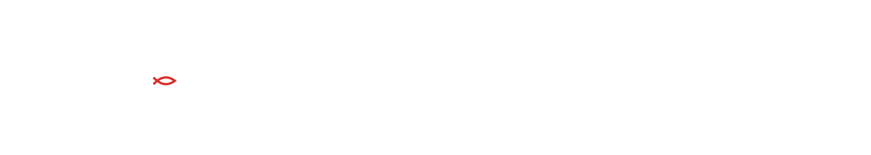 Law office of David R. Shawn